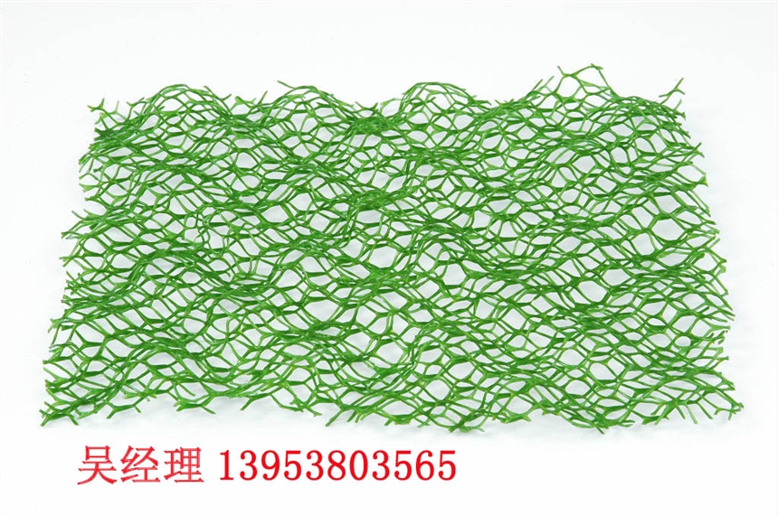 黄石三维土工网垫产品展示开发生产