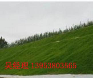 荆州三维土工网垫质量优良行业标杆