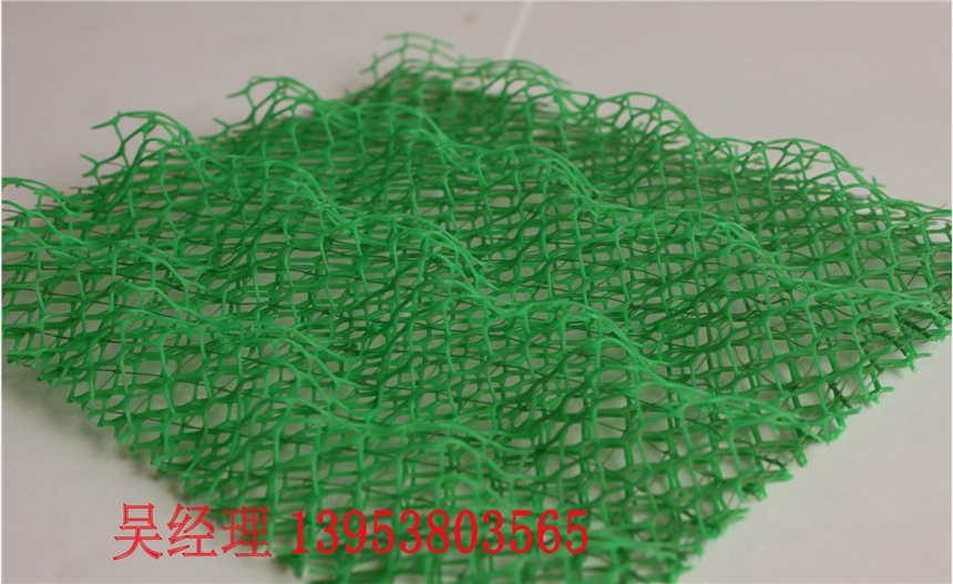 许昌三维土工网垫产品展示创造辉煌