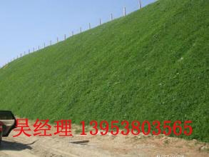 荆州三维土工网垫质量优良行业标杆