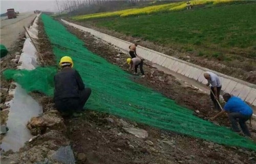 哈尔滨三维植被网垫(年底土工网排名)华鲁工程材料欢迎采购